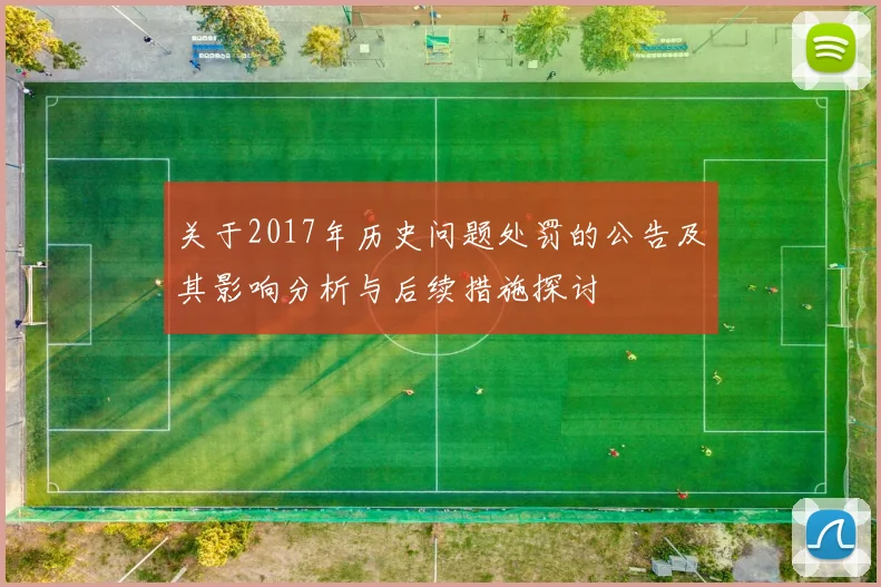关于2017年历史问题处罚的公告及其影响分析与后续措施探讨